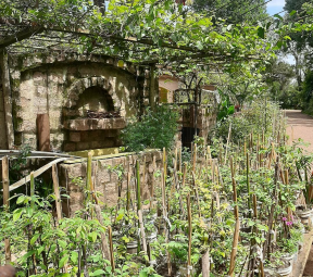 Caminho dos Mirtilos