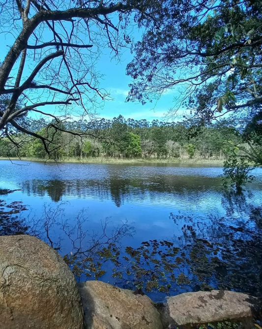 Caminho dos Mirtilos