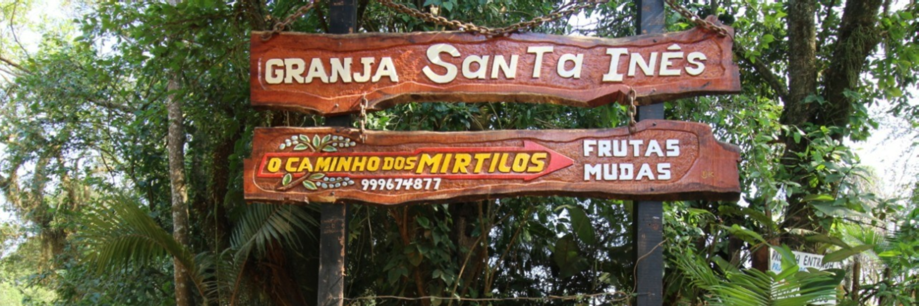 Caminho dos Mirtilos